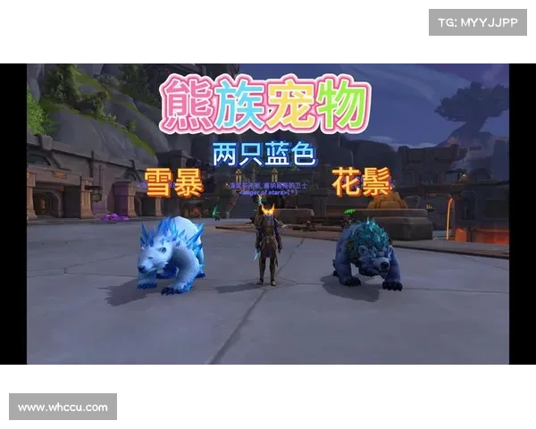 魔兽世界宠物伤害:如何实现最高设置中心 魔兽世界宠物伤害:如何实现最高设置中心