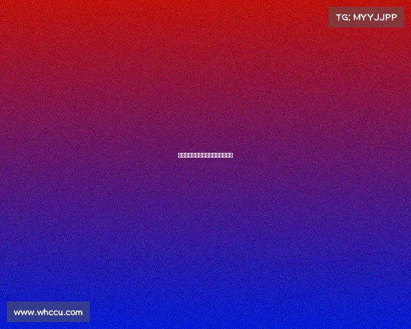 电竞小灰灰:战斗在巅峰的荣耀之路 电竞小灰灰:战斗在巅峰的荣耀之路